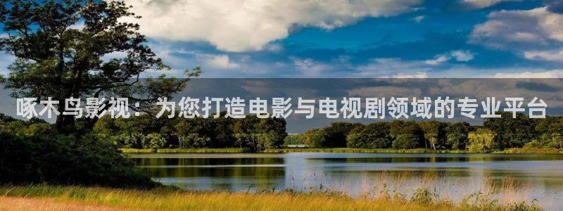 全能影视网页版