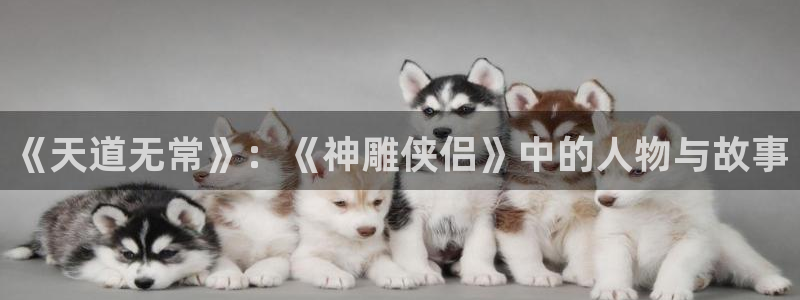全能影视王：《天道无常》：《神雕侠侣》中的人物与故事