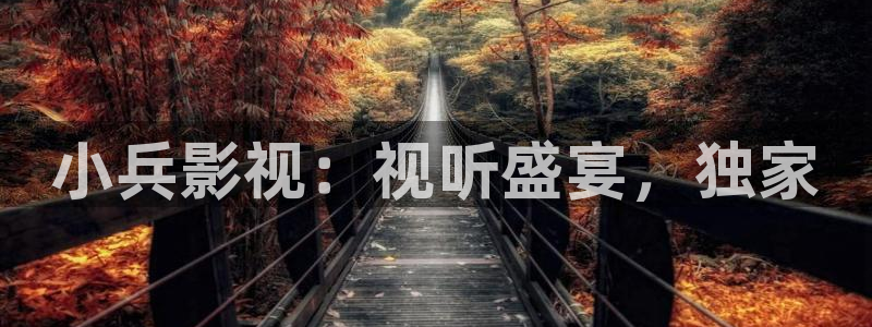 全能影院在线观看：小兵影视：视听盛宴，独家