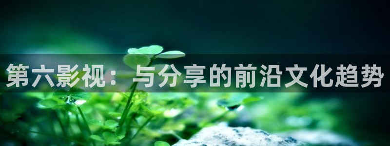 全能影视 官网：第六影视：与分享的前沿文化趋势