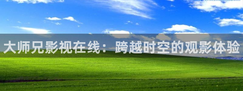 全能播放器电视版