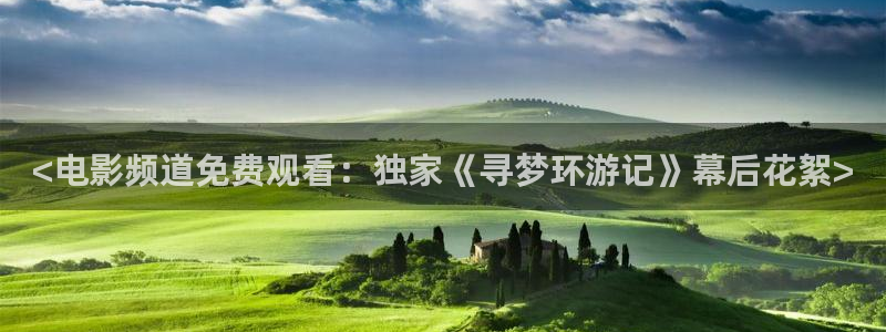全能播放器电视版