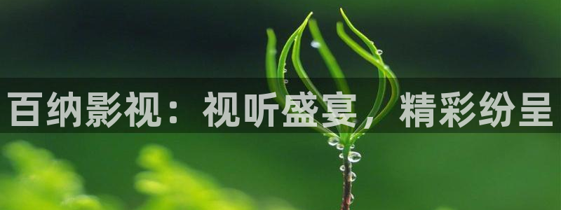 全能影视下载：百纳影视：视听盛宴，精彩纷呈