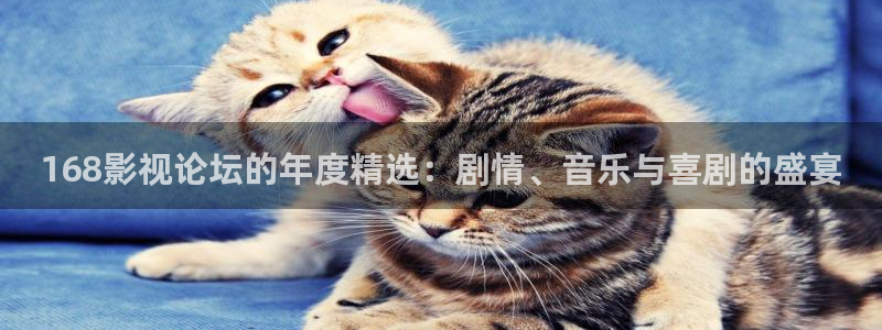 全能影视免费电影