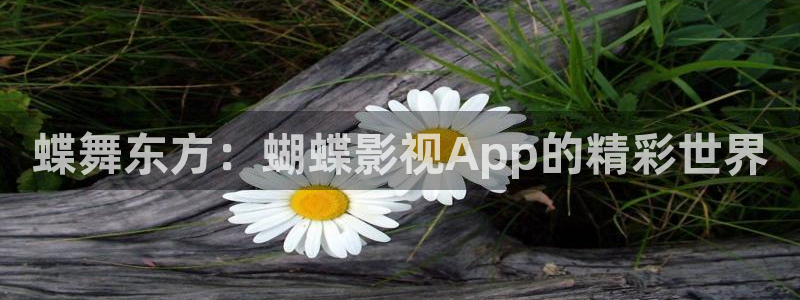 全能影视播放器