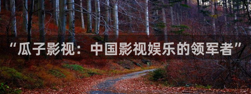 全能影视软件